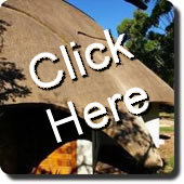 Thatch Roofs - Houses and Lodges