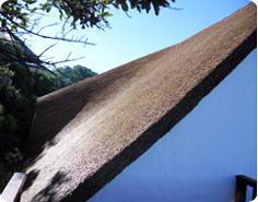 Thatch roofs, large thatching projects & thatched roof maintenance