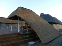 Thatch Lapa Design