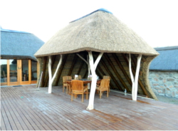 Thatch Lapa Design