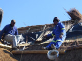 The Cintsa Thatching team fitting a fire retardant blanket to a thatched roof