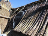 A Thatch roof in the process of being thatched with a fire blanket