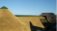 Thatch roofs by Cintsa Thatching