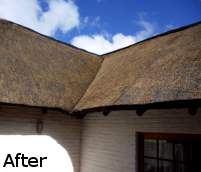 Cintsa Thatching - Thatched Roof Maintenance