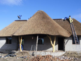 Thatched house roof - private residence at Side by Side Safari lodge