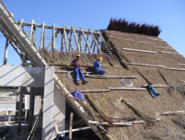 Mthatha Dam Thatching Project, Eastern Cape