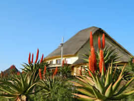 Mvezo Mutli-Purpose Centre thatched roof