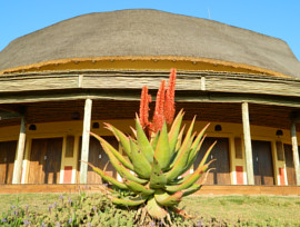 Latha cladding at Mvezo thatching project