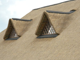 Windows inserted into thatched roof on large thatching project